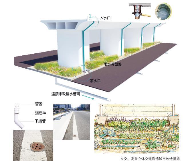 24種海綿城市設(shè)計(jì)措施全圖解_18